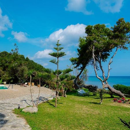 Azzuro Beach House - On The Beach & Private Pool, By Zantewize Vasilikos  Exterior photo