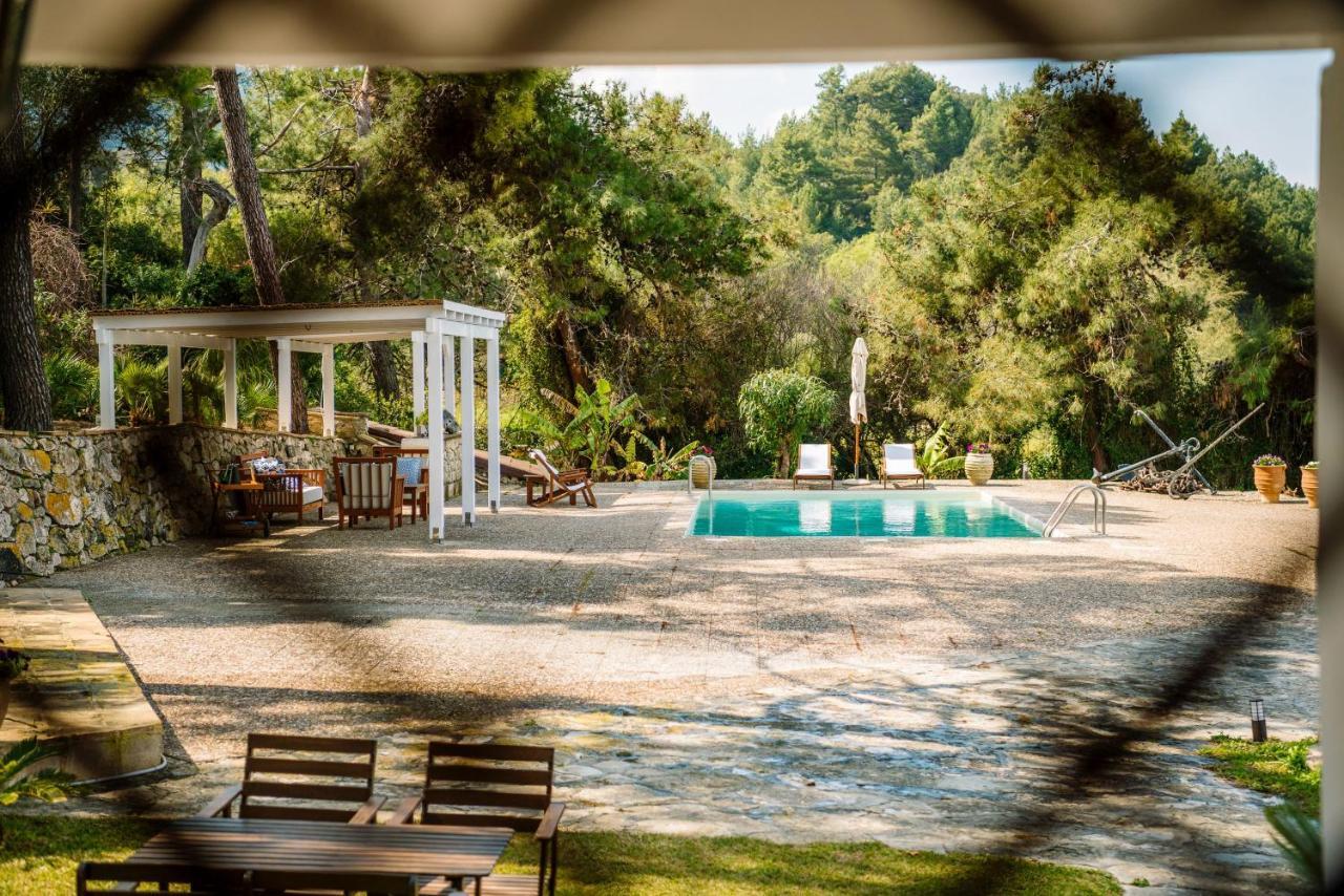 Azzuro Beach House - On The Beach & Private Pool, By Zantewize Vasilikos  Exterior photo