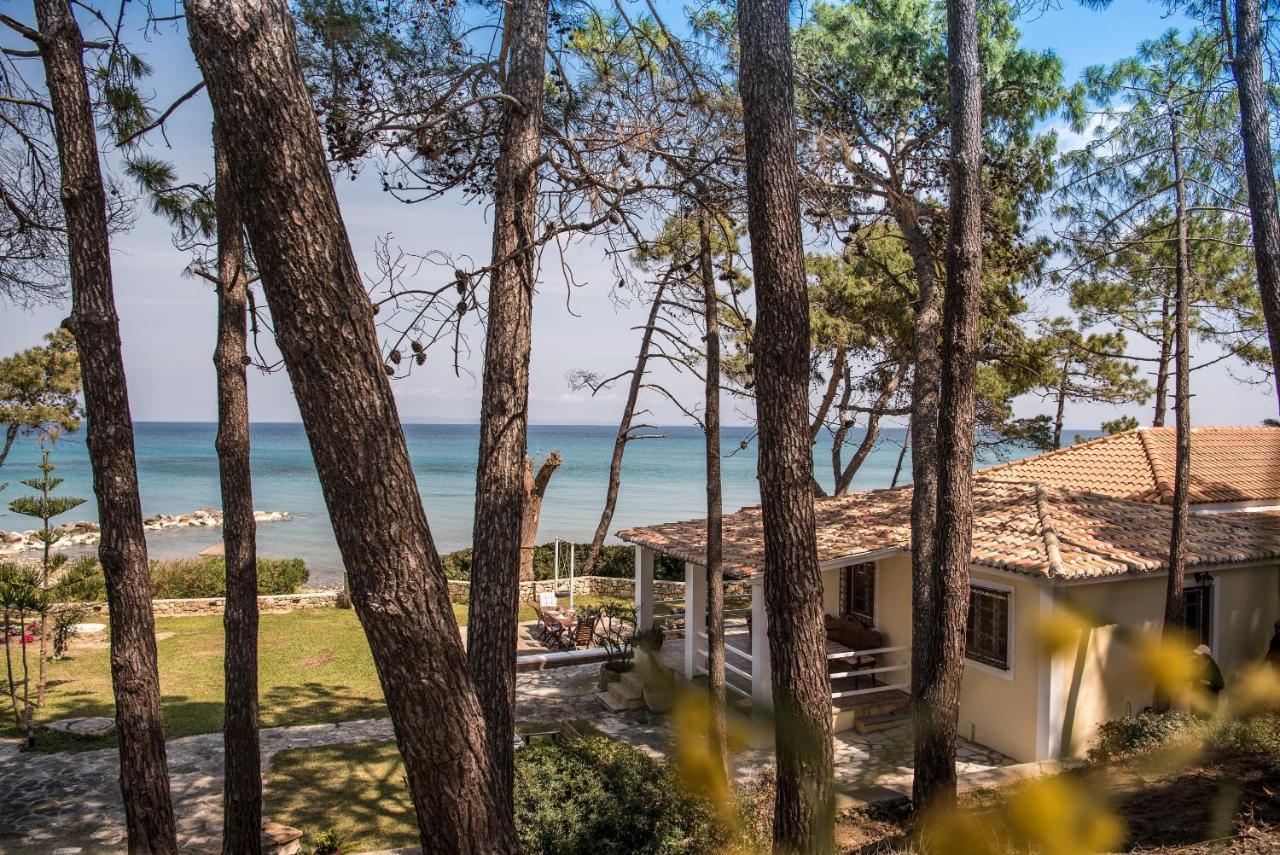 Azzuro Beach House - On The Beach & Private Pool, By Zantewize Vasilikos  Exterior photo